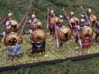 28mmpyrrhic macedonians  Hail Caesar  (16 of 26)  Victrix plastic mercenary hoplites overall slightly dissapointed in these i thought they were going to look awesome